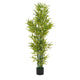Nadia Faux Bamboo Plant Set | Iron Frame | Green Poly Silk 61"