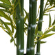 Nadia Faux Bamboo Plant Set | Iron Frame | Green Poly Silk 61"