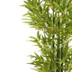 Nadia Faux Bamboo Plant Set | Iron Frame | Green Poly Silk 61"
