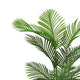 Norah Faux Areca Palm Tree | Set of 2 | 15 Folds | Green Poly Silk 63"