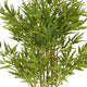 Nadia Artificial Bamboo Plant | Iron Frame | Green Poly Silk 70"