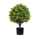 Manto Boxwood Topiary Ball Trees | Set of 2 | Green Poly Silk 22"