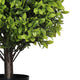Manto Boxwood Topiary Ball Trees | Set of 2 | Green Poly Silk 22"