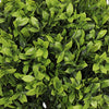 Manto Boxwood Topiary Ball Trees | Set of 2 | Green Poly Silk 22"