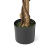 Karen Artificial Ficus Tree w Twisted Trunk | Green Poly Silk-Iron 59"