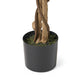 Karen Artificial Ficus Tree w Twisted Trunk | Green Poly Silk-Iron 59"