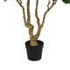 Wyatt 7 Ft Artificial Banyan Tree | Multibranch Trunk | Poly Silk 83"