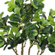 Wyatt 7 Ft Artificial Banyan Tree | Multibranch Trunk | Poly Silk 83"