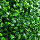 Zyra Artificial Boxwood Topiary Ball | Set of 2 | Green Poly Silk 20"
