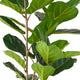 Axel Faux Fiddle Leaf Fig Tree | Iron Frame | Green Poly Silk 59"