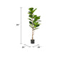 Axel Faux Fiddle Leaf Fig Tree | Iron Frame | Green Poly Silk 59"