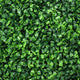 Zyra Artificial Boxwood Topiary Ball | Set of 2 | Green Poly Silk 16"