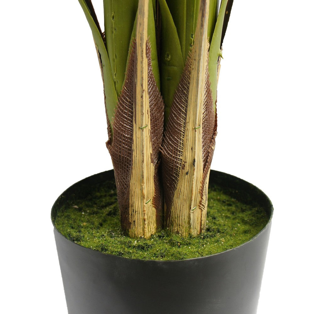 Anva Artificial Palm Tree | Pre-Potted Design | Green Iron-Poly Silk 59"
