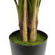 Anva Artificial Palm Tree | Pre-Potted Design | Green Iron-Poly Silk 59"