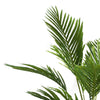 Anva Artificial Palm Tree | Pre-Potted Design | Lifelike Iron-Poly Silk 71"