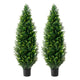 Tahya Cedar Topiary Tree | Set of 2 | Iron Frame | Lifelike Poly Silk 48"