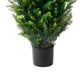 Tahya Cedar Topiary Tree | Set of 2 | Iron Frame | Lifelike Poly Silk 48"