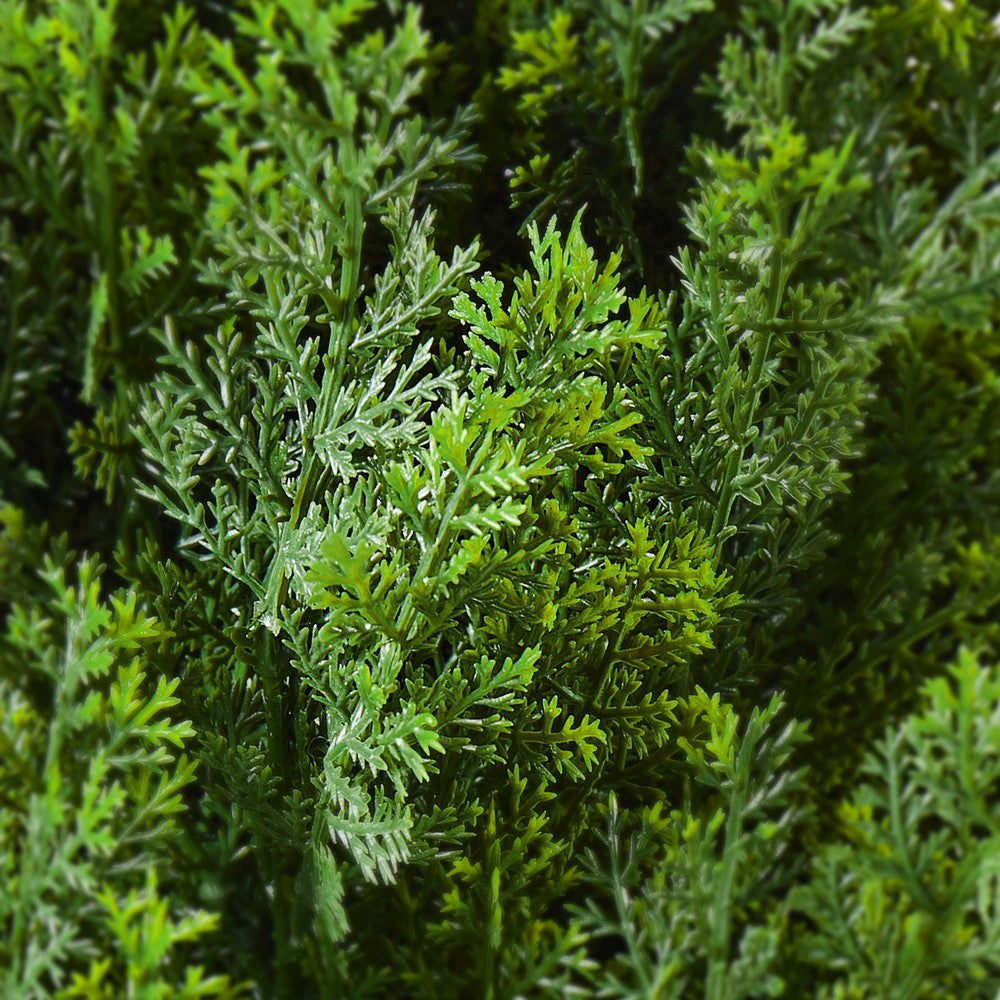 Tahya Cedar Topiary Tree | Set of 2 | Iron Frame | Lifelike Poly Silk 48"