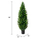 Tahya Cedar Topiary Tree | Set of 2 | Iron Frame | Lifelike Poly Silk 48"