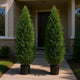 Tahya Cedar Topiary Tree | Set of 2 | Iron Frame | Lifelike Poly Silk 48"