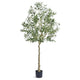 Lucas Olive Tree | Stainless Steel Branches | Lifelike Poly Silk 70"