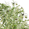 Lucas Olive Tree | Stainless Steel Branches | Lifelike Poly Silk 70"