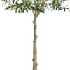 Lucas Olive Tree | Stainless Steel Branches | Lifelike Poly Silk 70"