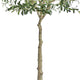 Lucas Olive Tree | Stainless Steel Branches | Lifelike Poly Silk 70"