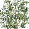 Lucas Olive Tree | Stainless Steel Branches | Lifelike Poly Silk 70"