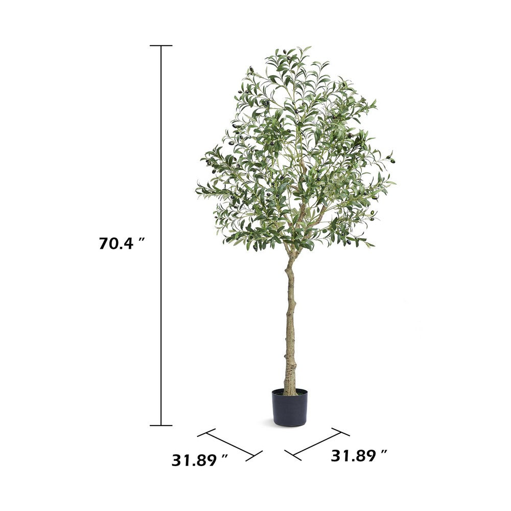 Lucas Olive Tree | Stainless Steel Branches | Lifelike Poly Silk 70"