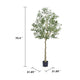 Lucas Olive Tree | Stainless Steel Branches | Lifelike Poly Silk 70"