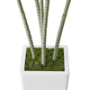 Kren Artificial Dracaena Tree | White Planter | Lifelike Poly Silk 60"