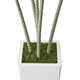 Kren Artificial Dracaena Tree | White Planter | Lifelike Poly Silk 60"
