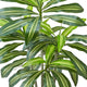 Kren Artificial Dracaena Tree | White Planter | Lifelike Poly Silk 60"