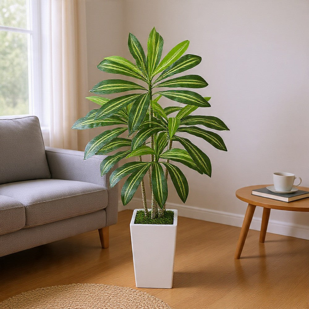 Kren Artificial Dracaena Tree | White Planter | Lifelike Poly Silk 60"