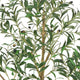 Ezra Artificial Olive Tree with Black Pot | Lifelike Poly Silk 61"