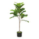 Moona Fiddle Leaf Fig Tree | 28 PEVA Leaves | Lifelike Poly Silk 43"