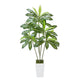 Kren Artificial Dracaena Tree | White Planter | Lifelike Poly Silk 72"