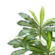 Kren Artificial Dracaena Tree | White Planter | Lifelike Poly Silk 72"