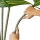 Kren Artificial Dracaena Tree | White Planter | Lifelike Poly Silk 72"