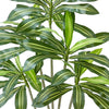Kren Artificial Dracaena Tree | White Planter | Lifelike Poly Silk 72"
