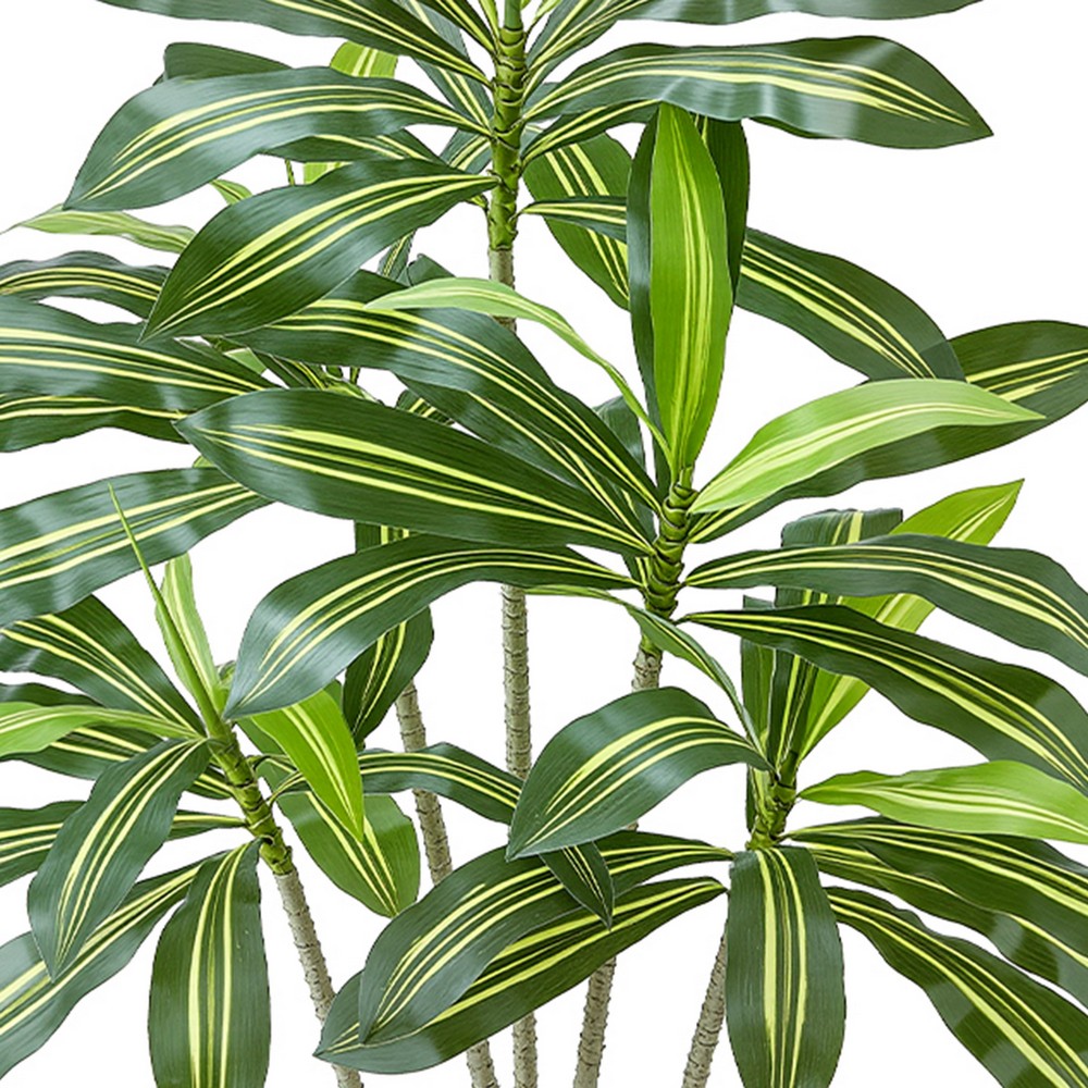Kren Artificial Dracaena Tree | White Planter | Lifelike Poly Silk 72"