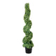Mila Boxwood Spiral Topiary Plant | Set of 2 | Lifelike 48"