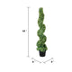 Mila Boxwood Spiral Topiary Plant | Set of 2 | Lifelike 48"