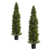 Arya Cedar Pine Topiary Tree | Set of 2 | Black Pot | Lifelike Poly Silk 60"