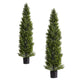 Arya Cedar Pine Topiary Tree | Set of 2 | Black Pot | Lifelike Poly Silk 60"