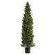 Arya Cedar Pine Topiary Tree | Set of 2 | Black Pot | Lifelike Poly Silk 60"