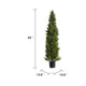 Arya Cedar Pine Topiary Tree | Set of 2 | Black Pot | Lifelike Poly Silk 60"