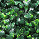 Zain Artificial Boxwood Topiary Balls | Set of 2 | Lifelike Poly Silk 15"