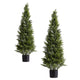 Arya Cedar Topiary Tree | Set of 2 | Black Pot | Lifelike Poly Silk 48"